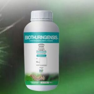 BACILLUS THURINGIENSIS BIO-THURINGIENSIS