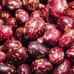 FRIJOL CARGAMANTO ROJO