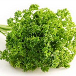 PEREJIL CRESPO