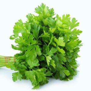 PEREJIL LISO