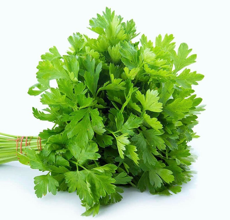 PEREJIL LISO