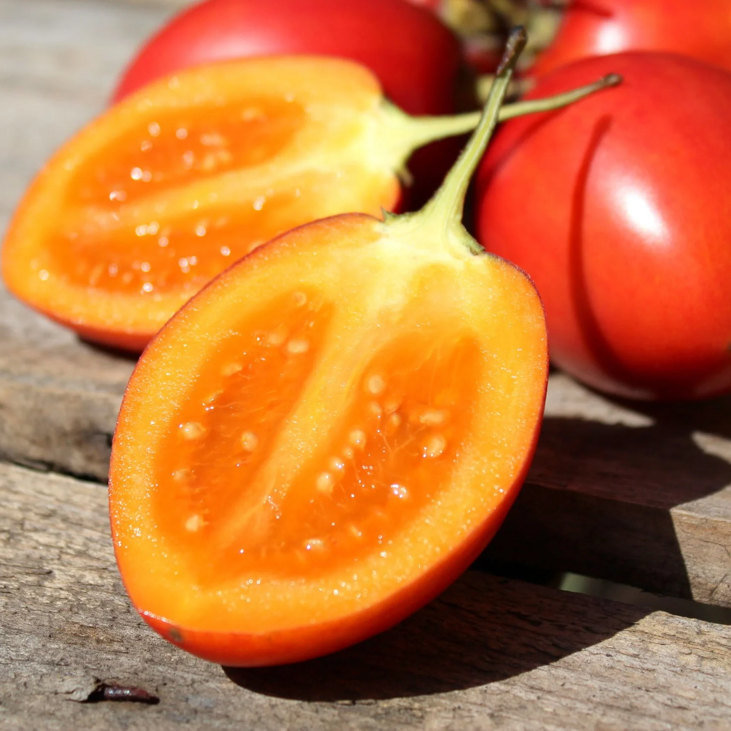SEMILLA DE TOMATE DE ÁRBOL