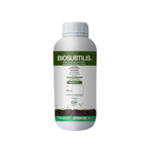 BACILLUS SUBTILIS BIO-SUBTILIS
